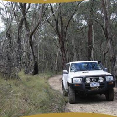 Wombat State Forest 4WD Map