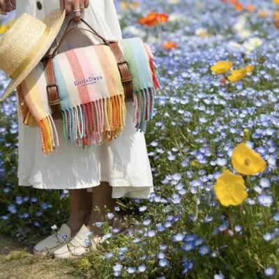 Over the Rainbow – Picnic Blanket