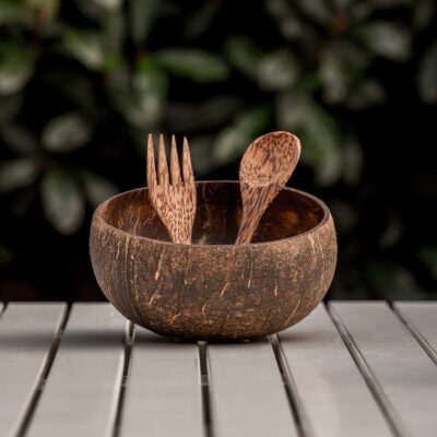 Regular-Jumbo Raw Natural Coconut Bowl | Wood Palm Cutlery/Spoon/ Fork, Handmade Travel Outdoor Camping Dining Gift Set, Vegan Acai Smoothie