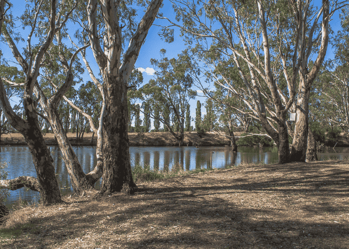 Aysons Reserve Camping Area, Burnewang