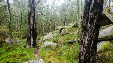 6 Incredible Country NSW Experiences To Have On Your Big Lap