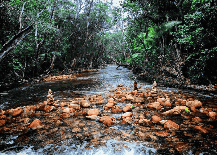 Dalrymple Creek Park