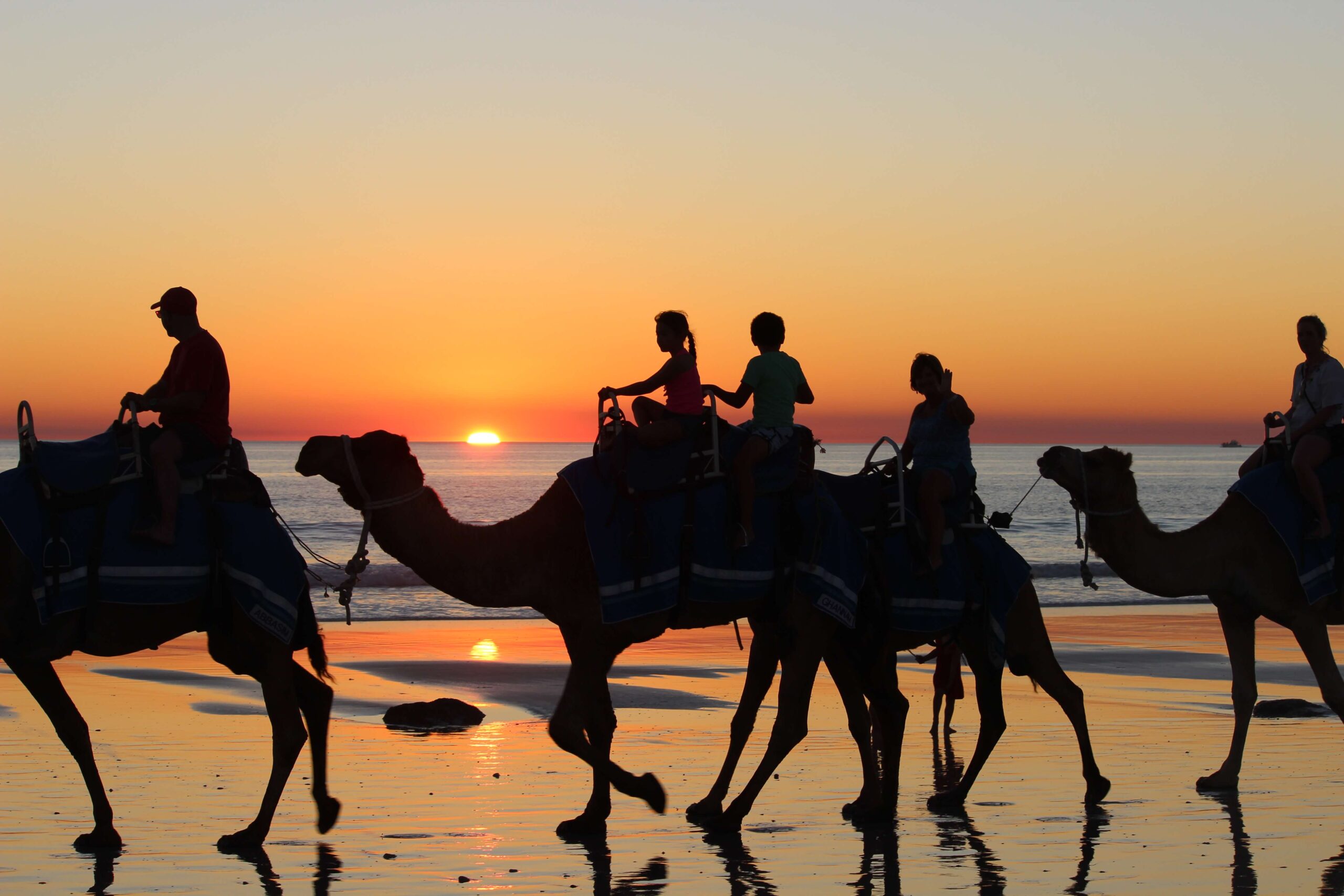 camel ride