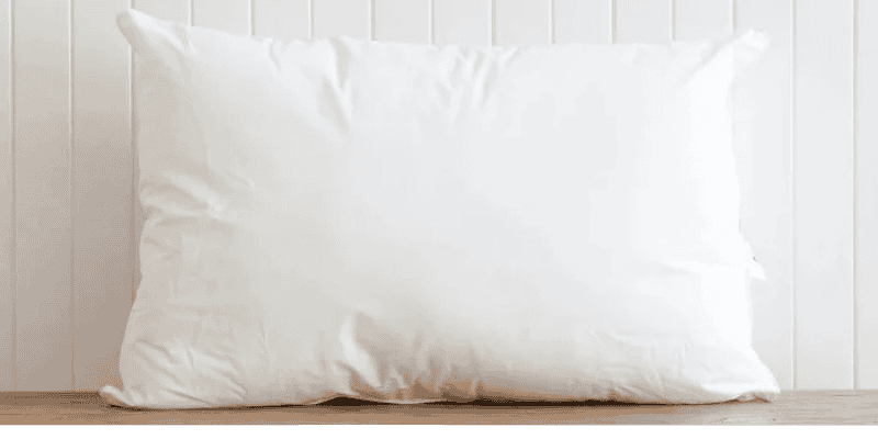 MeanderWild Wanderer Pillow with Protector