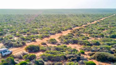 Australian outback landscape with dirt tracks and native bushland.