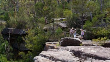 Hikers exploring rocky trail in Australian bushland with trees and greenery.