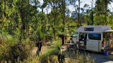 Camping in the Australian bush with a campervan and lush greenery.