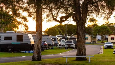 Caravans parked in a scenic camping area with trees at sunset, ideal for Big Lap adventures in Austr.