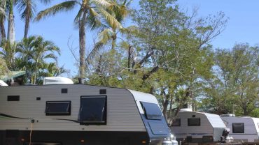 RV park with palm trees and clear blue sky, perfect for outdoor camping and travel adventures.
