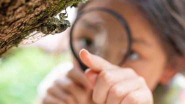 Close-up of a young girl inspecting tree bark with a magnifying glass for nature exploration.