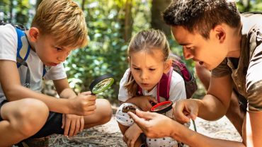 Family discovering insects in the forest with magnifying glasses.