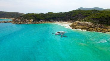 Your Guide To Camping In Victoria’s National Parks