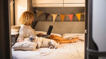 The Best Dog Beds & Sleeping Solutions For Camping & Caravanning
