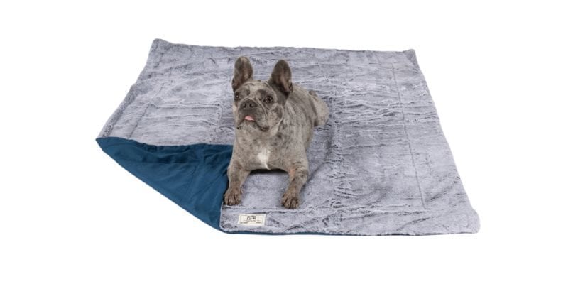 Chill Kuzzi Plush Infrared Dog Blanket