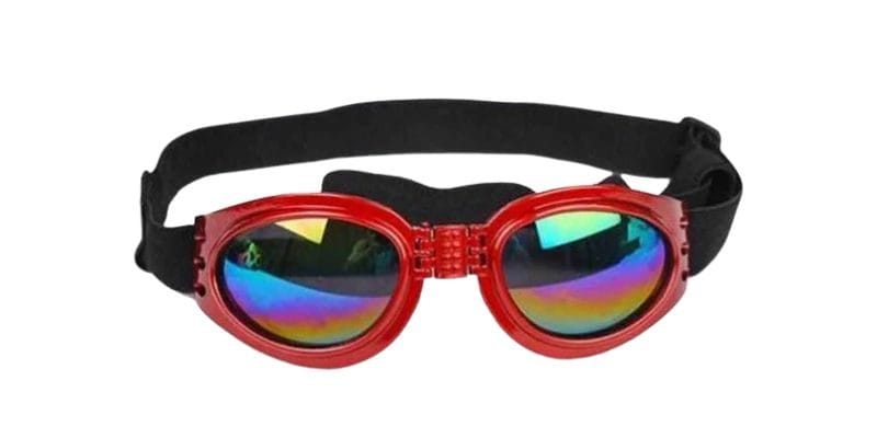 Classic Dog Goggles