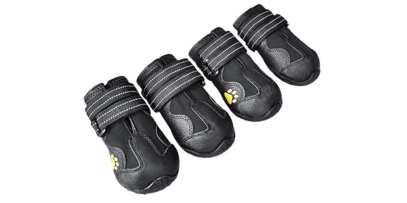 Dog Boots