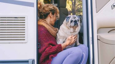 The Best Gear To Keep Dogs Healthy While Camping & Caravanning
