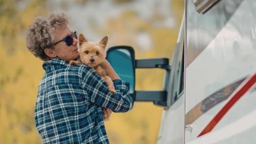 [Gear Guide] Keeping Your Dog Cool On Summer Camping & Caravanning Adventures