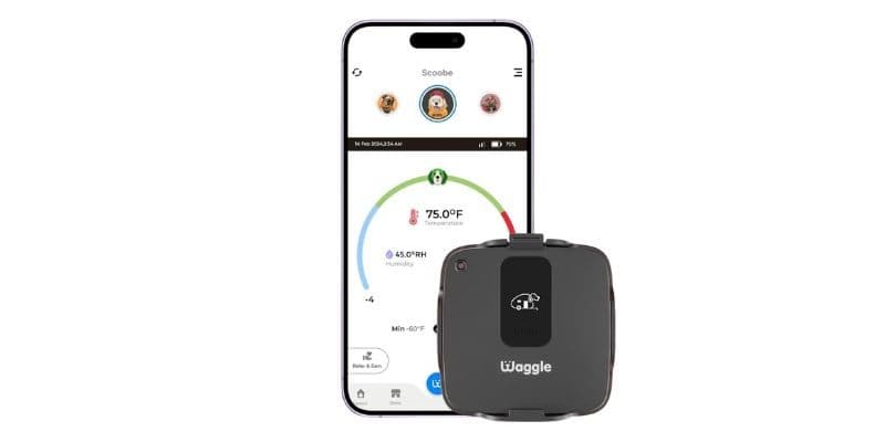 Waggle Pet Temperature Monitor