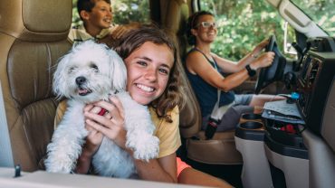Is The Big Lap Right For Your Pet? (Honest Pros & Cons)